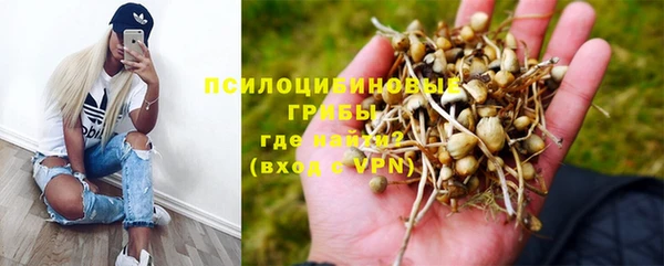 гидропоника Аркадак